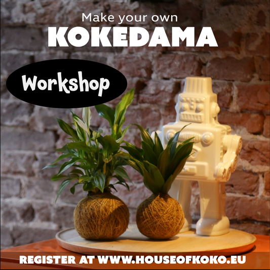 Kokedama Workshop